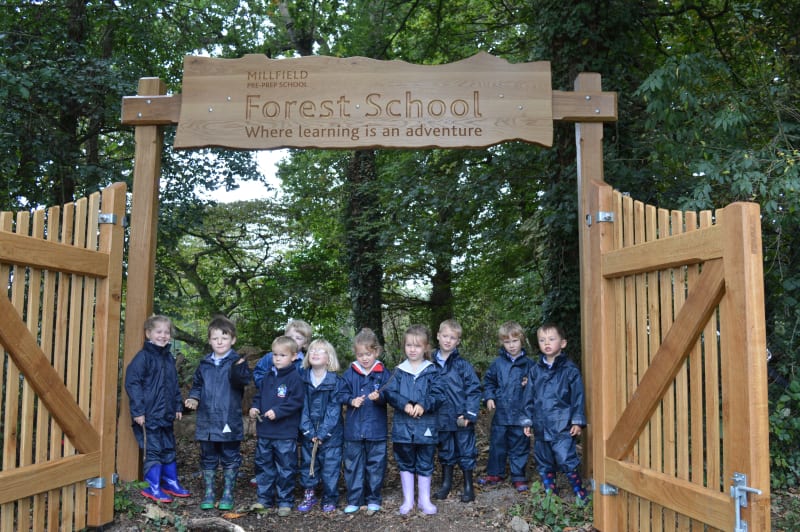 AP Courses China: Guide for Qingdao International Students 1 ReceptionClassForestSchool