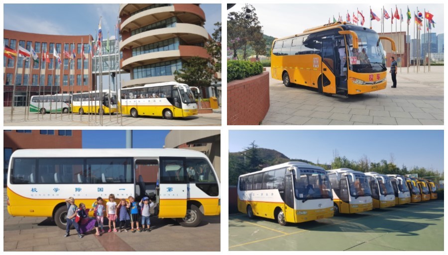 buses collage