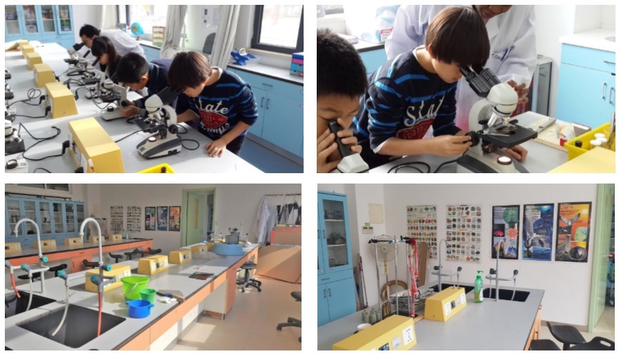 labs collage