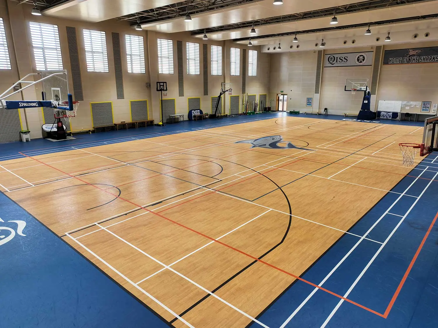 The QISS Advantage 3 QISS Gym