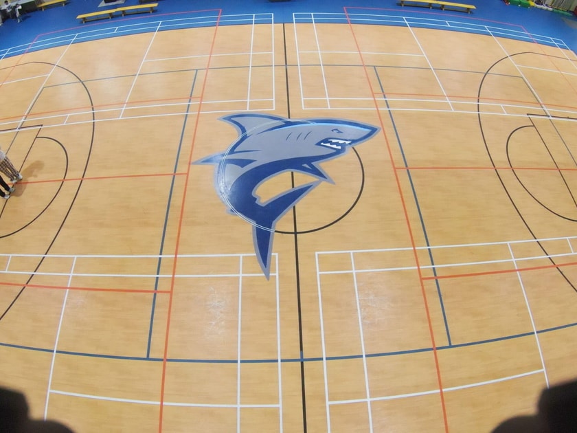Competitive Sports in School: Building Excellence Beyond the Score 2 Overhead view of QISS gymnasium floor featuring large Sharks mascot logo and multi-sport court markings